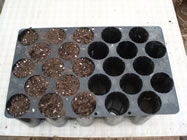 Seed planting trays