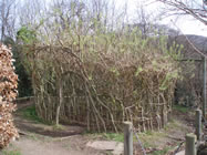 Willow structures