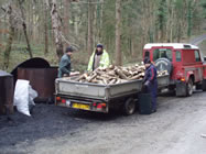 Charcoal Production needs wood .... lots of wood