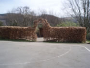 Landscape and Grounds Maintenance
