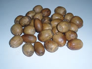 From acorns grow ...
