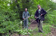 Coppicing